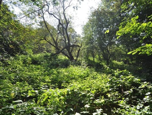                                         Terrain à bâtir à vendre à Melle, € 299.000
