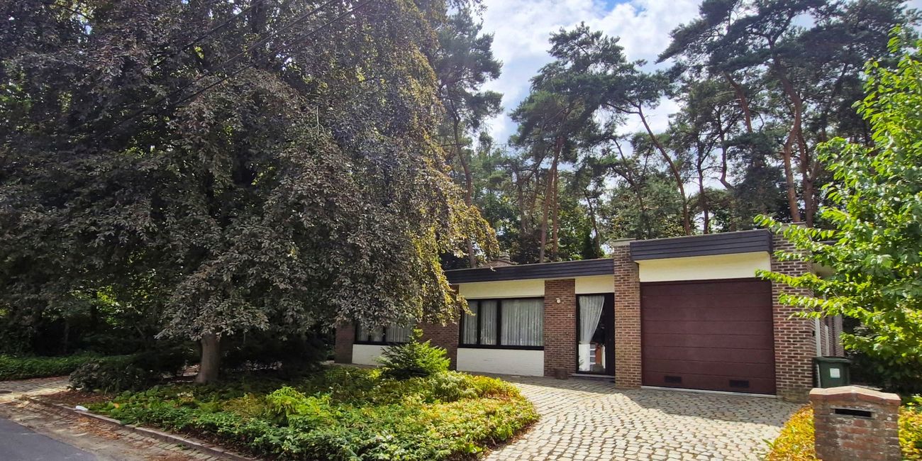 Hollestraat 46