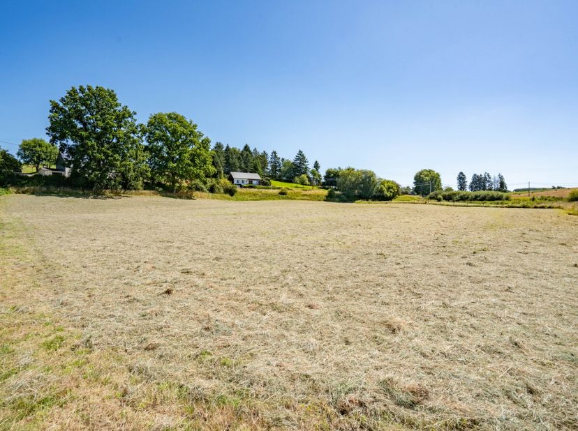 ERA BLUX nodigt u uit om dit prachtige terrein van 21 are te komen ontdekken. Rust en natuur komen samen tussen Sainte-Ode en Vaux-sur-Sûre, wat een i