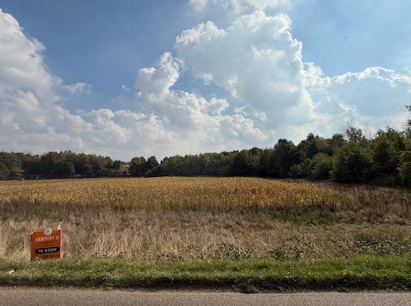 Ontdek dit prachtig stuk landbouwgrond van 9.747 m², ideaal gelegen in het landelijke Aarschot. Deze grond bevindt zich op een rustige en aangename lo