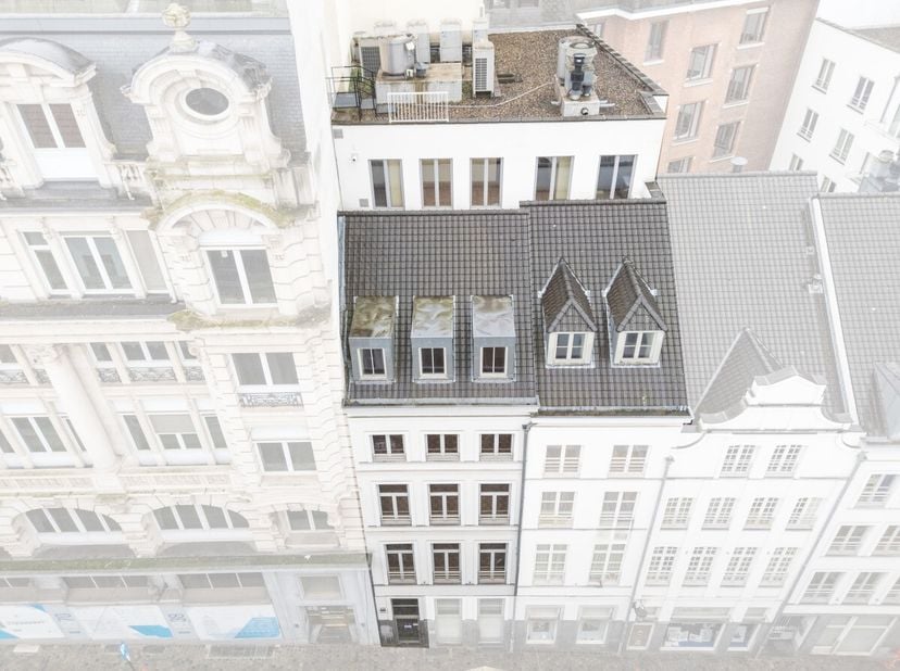 Dit opbrengstpand in de Violetstraat ligt op een TOPLOCATIE in het historische centrum van Brussel, op enkele stappen van de Grote Markt. De omgeving