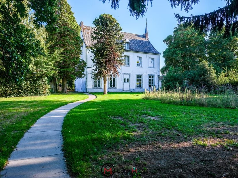 Bien professionnel à vendre
                    à 3450 Geetbets