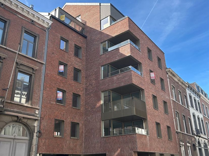 Project in rue Louvrex 44,
                    4000 Liège