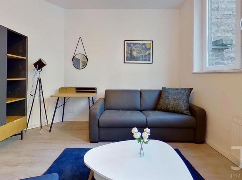 Ideaal gelegen op een steenworp van het station Brussel-Zuid (tram, metro en bus), ontdek deze prachtige, volledig gerenoveerde en gemeubelde studio,