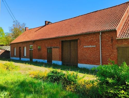                             Ferme à vendre à Herselt
