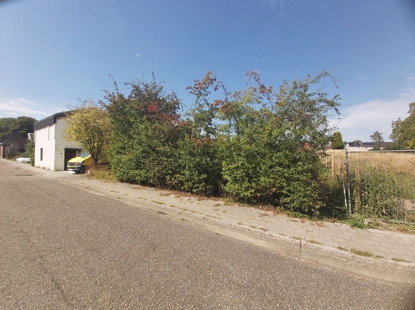 Grond te koop in Grotestraat ZN,
                    3631 Boorsem
