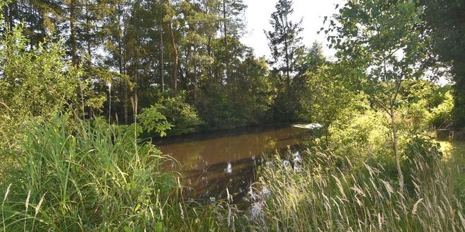 Grond te koop in Mechelbaan 39 bus +, 3130 Begijnendijk