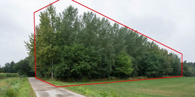 Grond te koop in Bienderstraat zn, 3910 Neerpelt