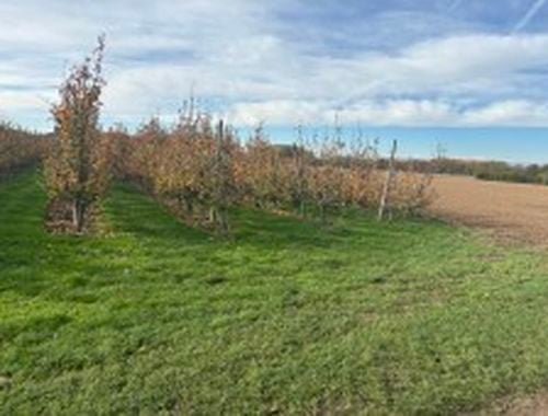                                         Grond te koop in Wilderen, € 10.600
