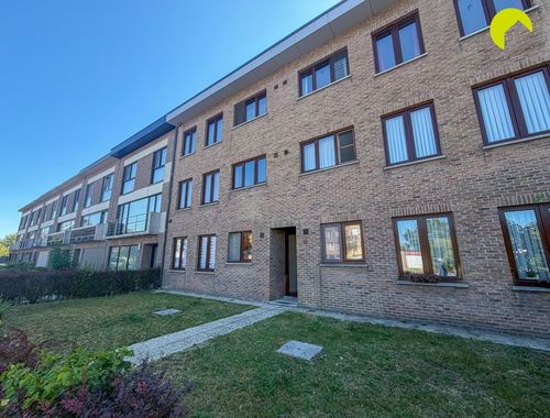                                         Appartement te huur in Lint, € 795
