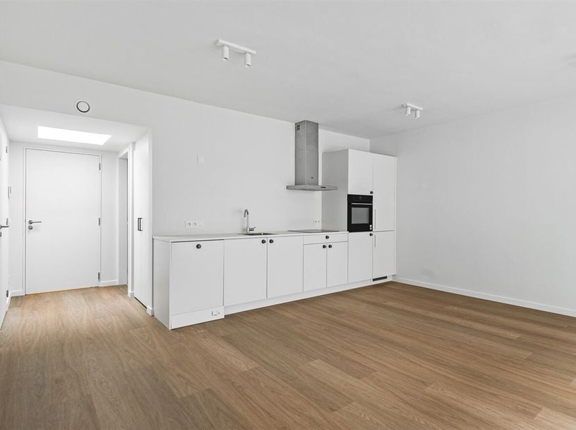 Stijlvol vernieuwd appartement (55 m²) met terras<br />
Ligging: In de Wilrijkstraat, vlak bij het levendige Zurenborg, bevindt zich dit instapklare a