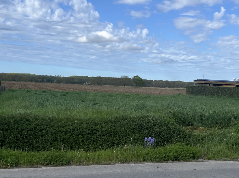 Terrain à vendre
                    à 8920 Poelkapelle