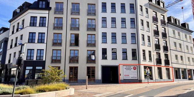 Bien professionnel à vendre à Avelgemstraat 1, 8550 Zwevegem