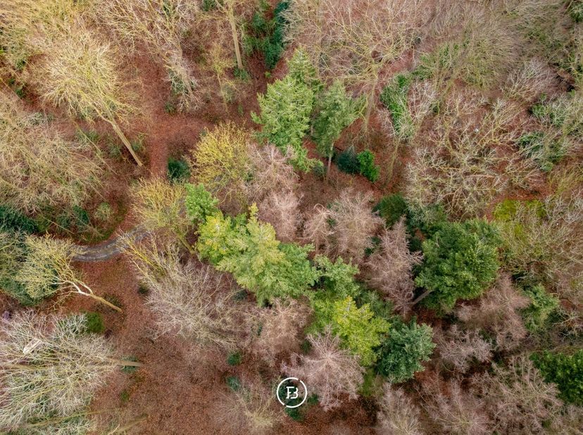 Twee bouwgronden in woonparkgebied langs de Zeeweg in Sint-Andries, samen goed voor 11.304 m². De percelen dienen gezamenlijk aangekocht te worden en
