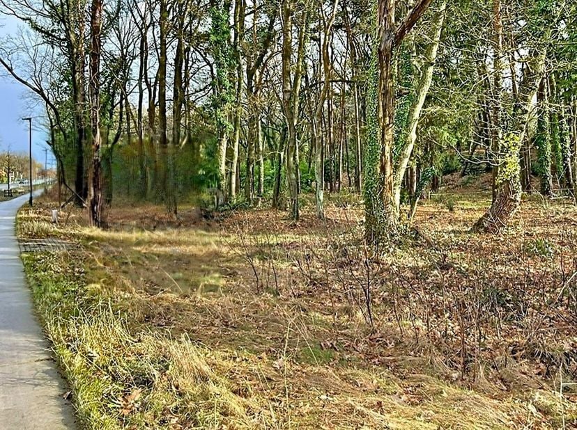 Grond te koop in Lierse Steenweg,
                    2280 Grobbendonk