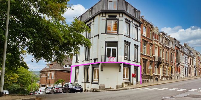 Bien professionnel à louer à Rue Biolley 41 boîte 1, 4800 Verviers