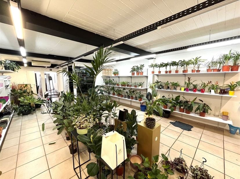 Ligging: Op de levendige Bredabaan vinden we dit veelzijdige opbrengsteigendom dat bestaat uit een Commerciële ruimte (154 m²) en een ruim duplexappar
