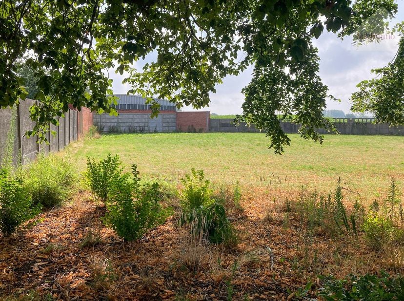 Terrain à vendre
                    à 2450 Meerhout