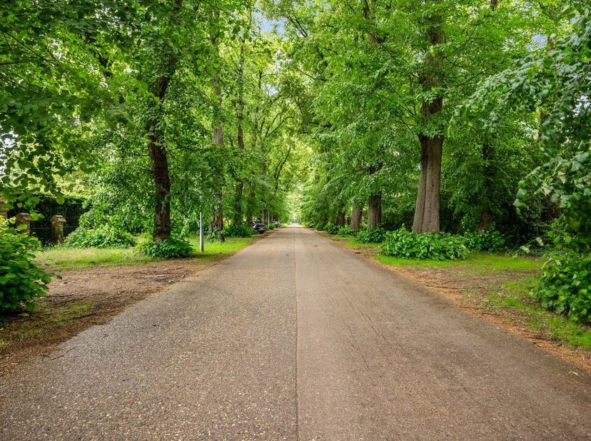 Villagrond gelegen aan de dreef in Noorderwijk<br />
<br />
Deze bouwgrond van 1.217m2 met een straatbreedte van 24,5m en diepte van 49,5m is geschi