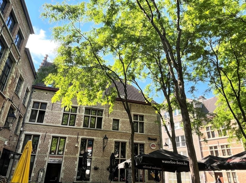 ENVOYEZ-NOUS VOTRE PROFIL VIA NOTRE SITE WEB WWW.ABRICASA.BE <br />
<br />
<br />
<br />
Charmant appartement au cœur d'Anvers!<br />
<br />
<br />