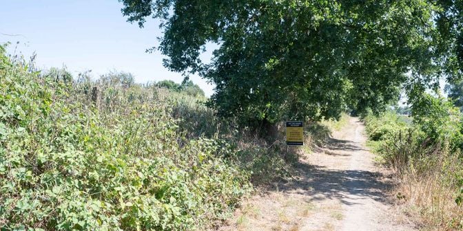 Grond te koop in Hooge Kamp /, 3640 Ophoven