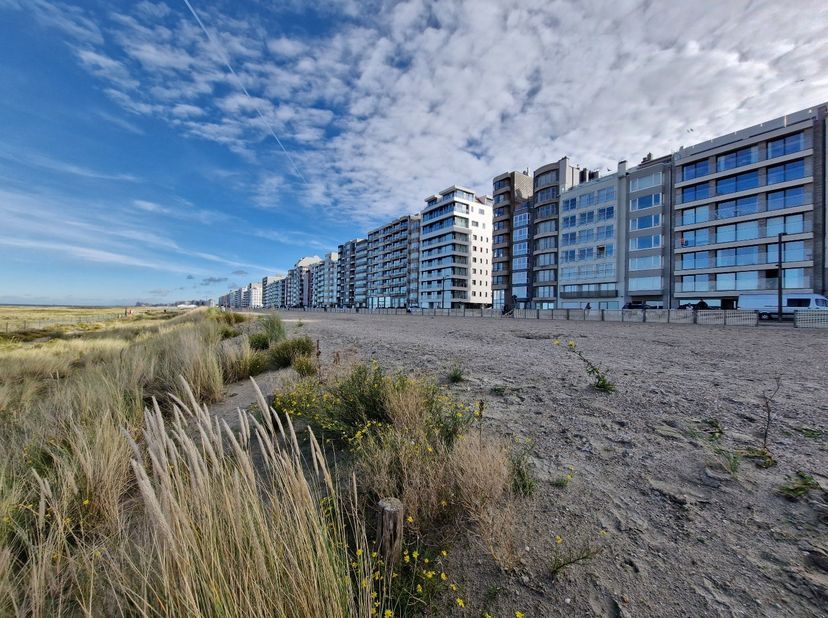 Dit smaakvol ingericht appartement bevindt zich op een toplocatie, vlak achter de zeedijk van Heist. Dankzij de zuidgerichte oriëntatie geniet U er va
