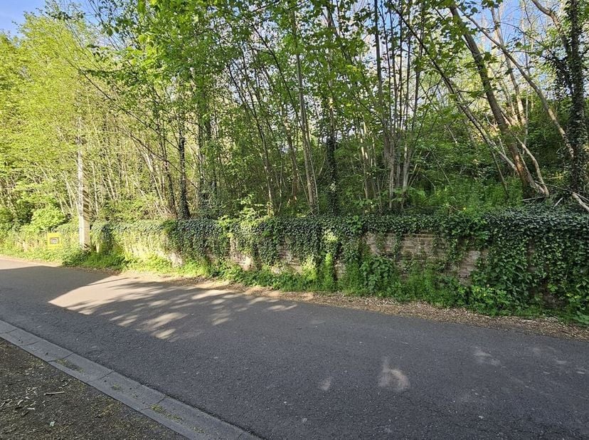 Terrain de 25 ares au pied de l'axiale Boraine.<br />
Superficie totale: 25 ares 08 ca. Il propose +/- 110 mètres de façades sur la rue Alphonse Brene