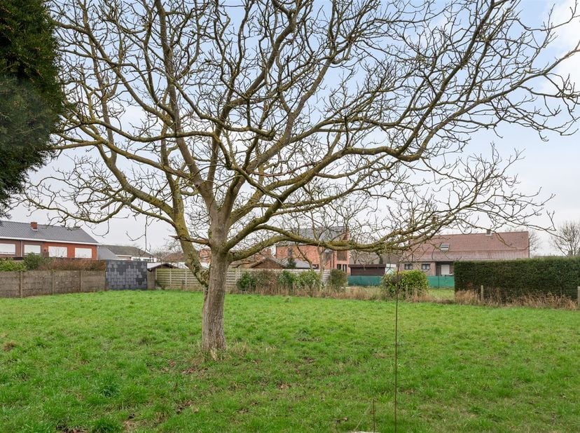 Rustig gelegen bouwgrond voor open bebouwing. De bouwgrond is 1044m² groot en is gelegen in een rustige straat te Berlaar, nagenoeg in het centrum en