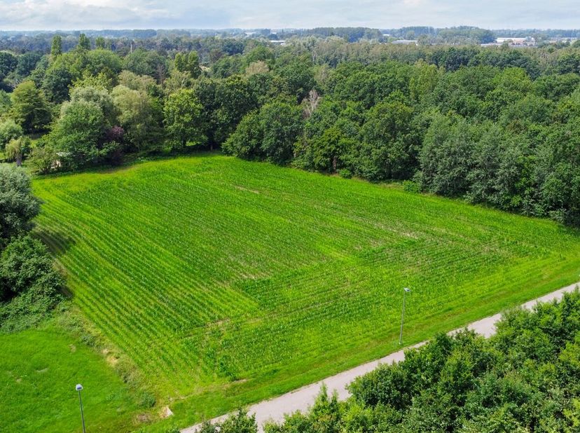 Bosgrond te koop in Duffel 6.413 m²<br />
Goed gelegen perceel met een oppervlakte van 6.413 m², gelegen in het landelijke Duffel. Deze grond biedt ta