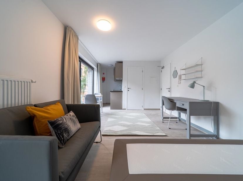 De toplocatie van Residentie ARTEMIS (Dekenstraat 86, Leuven) maakt van deze een bijzonder interessante uitvalsbasis. Op een steenworp van de historis