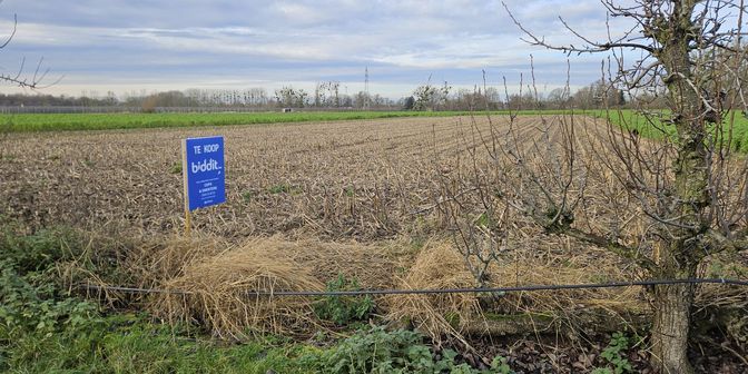Grond te koop in Onderste Uyckhoven Veld /, 3631 Uikhoven