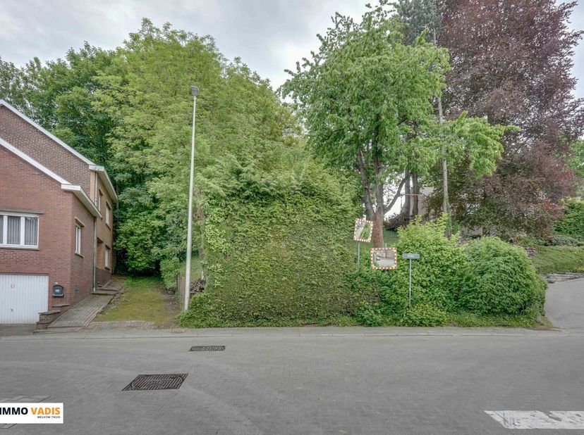 Deze rustig gelegen bouwgrond vind je aan de Viséweg 426, aan de rand van Tongeren-Borgloon.<br />
Het perceel heeft een breedte van ca. 12,6 meter en