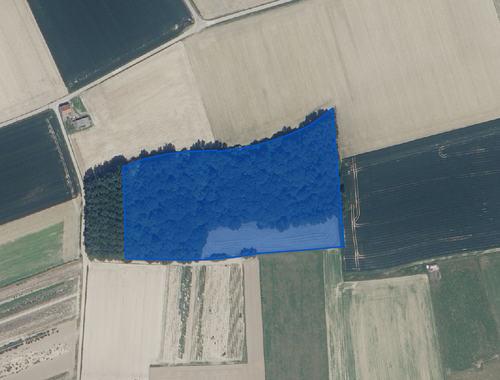                                         Bos te koop in Oosterzele, € 240.000

