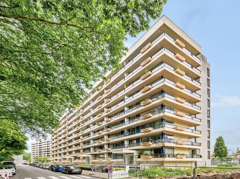 VENTE EN VIAGER LIBRE AU DECES DU VENDEUR.<br />
BOUQUET : 65.000€<br />
RENTE : 300€/mois pendant 20 ans <br />
Appartement lumineux avec vue dégagée