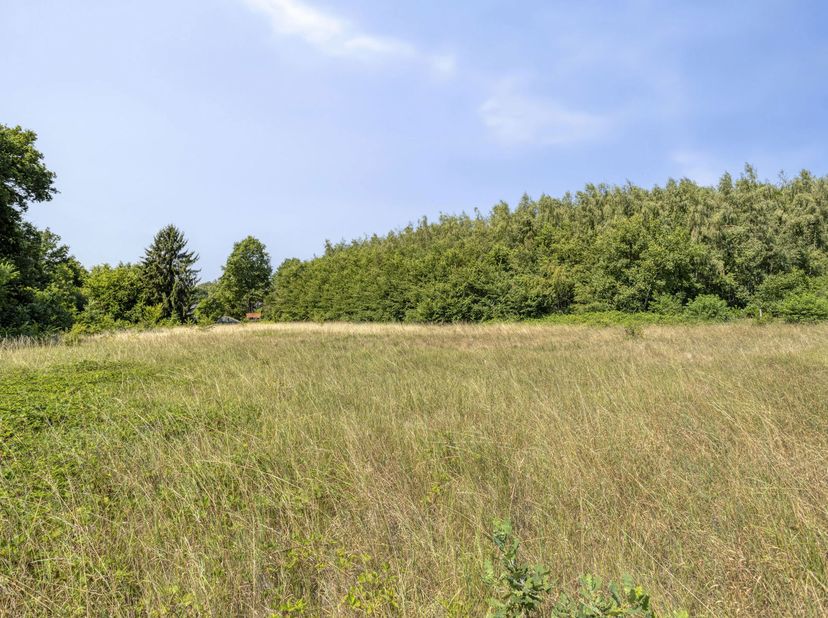 Terrain à vendre
                    à 3050 Oud-Heverlee