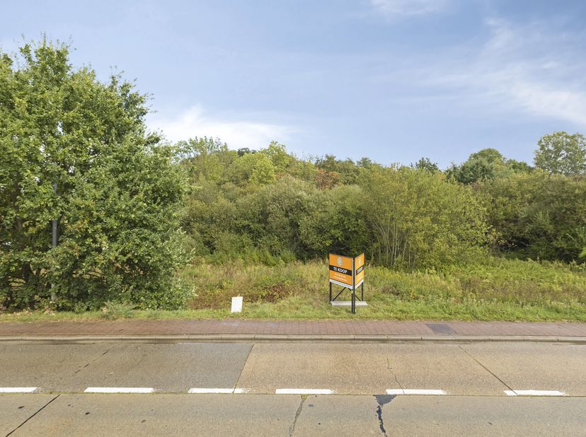 Perceel lot 2 + lot 5:<br />
Deze bouwgrond, gelegen aan de Tieltseweg in Rillaar, geniet van een aangename ligging met goede bereikbaarheid. Het cent
