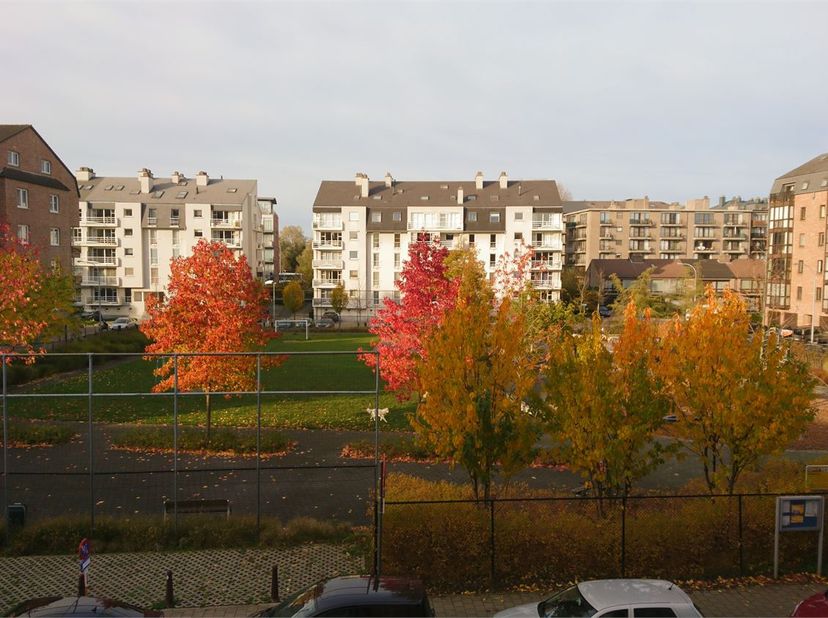 RUIM 2-SLAAPKAMERAPPARTEMENT MET TERRAS EN AUTOSTAANPLAATS IN KESSEL-LO<br />
Ruim en aangenaam appartement van ca. 90 m², rustig gelegen aan de Edelz