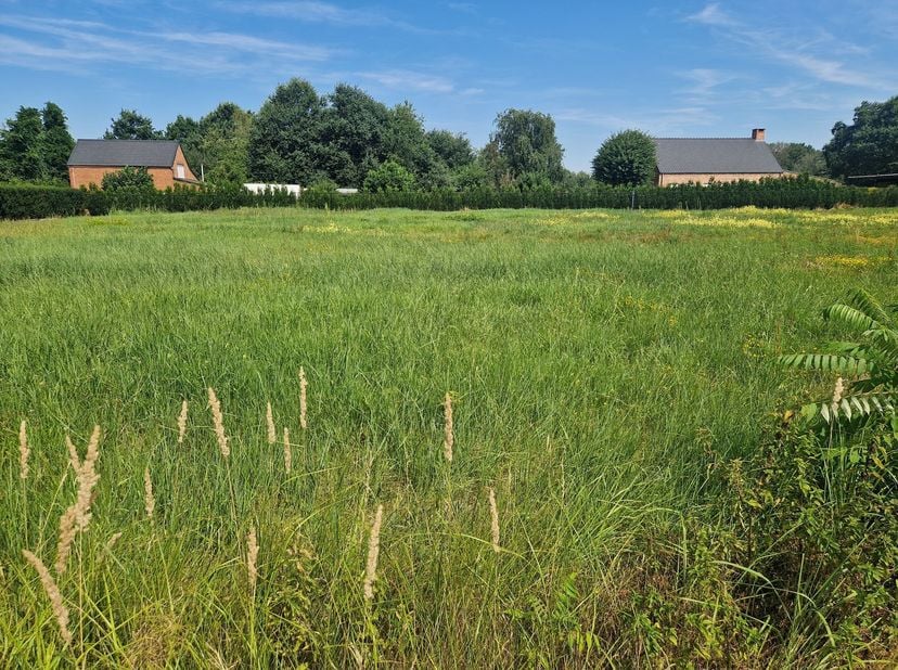 Op een gunstige locatie te Schriek (Heist-op-den-Berg) bevindt zich deze bouwgrond voor open bebouwing op een perceel van 1035m². <br />
U bevindt zi
