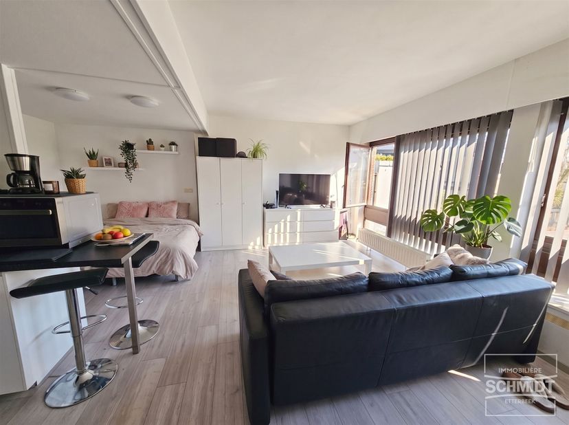 IMMOSCHMIDT - Ref. 29580 - IXELLES (Parc Tenbosch) - Beschikbaar op 01/07/2026 - Mooie 42m² OPGERICHTE STUDIO gelegen in de buurt van Av Louise en ULB