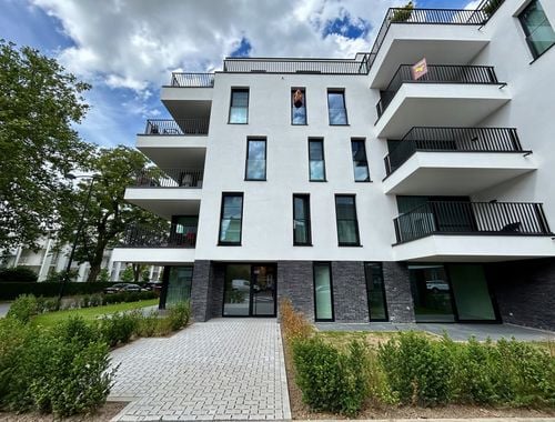                                         Appartement te huur in Ronse, € 795
