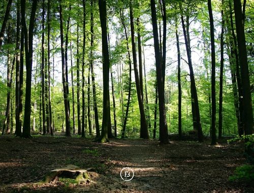                                         Terrain à bâtir à vendre à Sint-Andries, € 45.000
