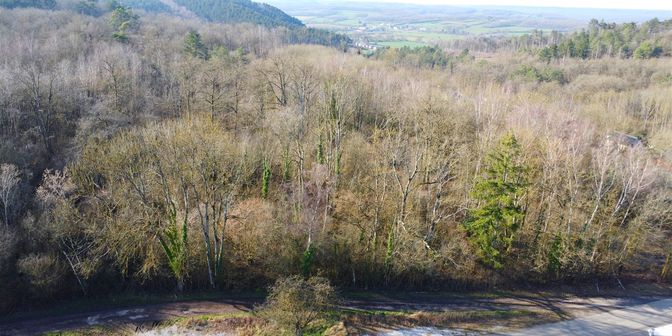 Grond te koop in Haie de Dailly, 5660 Frasnes