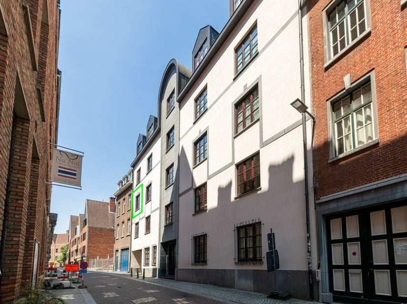 Gelegen in het historische hart van Antwerpen geniet dit appartement van een uitzonderlijke ligging, op wandelafstand van de Grote Markt, de Meir, gez