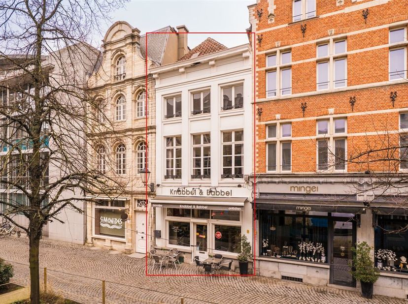 Opportunité commerciale unique dans le coeur historique de Malines<br />
Dans le centre animé de Malines se trouve cette charmante propriété commercia