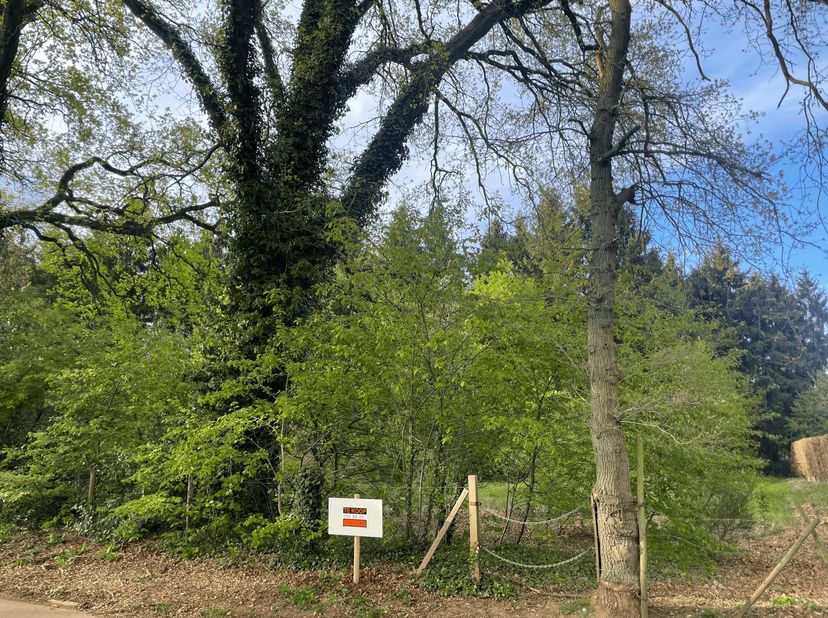 Prachtig gelegen bouwgrond in de gegeerde woonomgeving Terboekt<br />
Deze aantrekkelijke bouwgrond bevindt zich in een rustige en residentiële wijk e