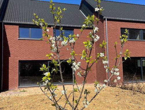                                         Eengezinswoning te koop in Romsée, € 250.000
