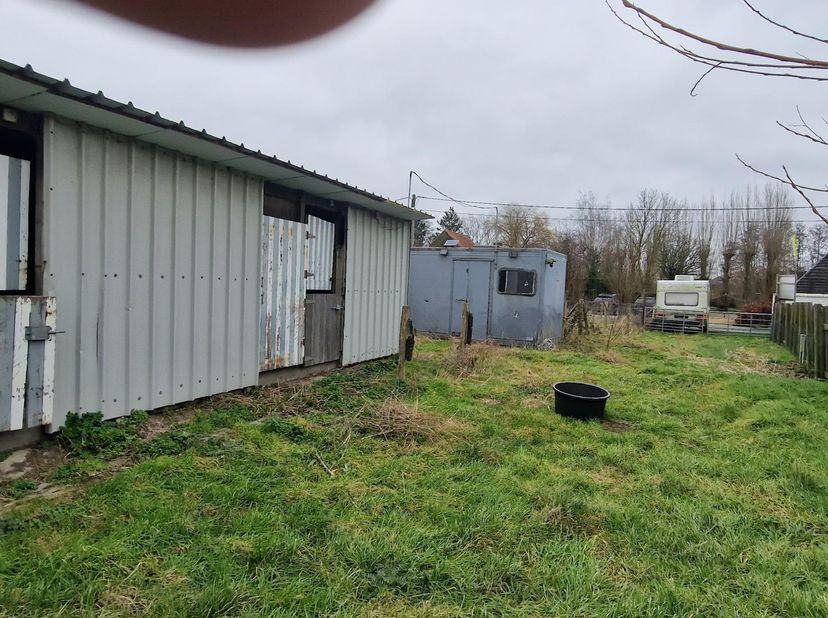 Landbouwgrond van 2350 m2 gelegen in Hooglede 8830, Wolfhoekstraat 8. Op het perceel staat een stal van 100 m2 en een metalen container. Grond met een