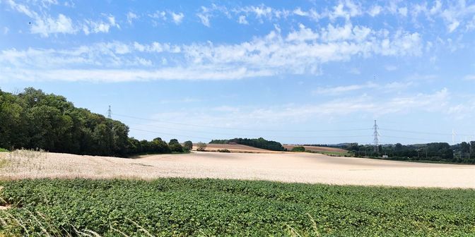 Terrain à vendre à Route de Paifve, 4690 Glons