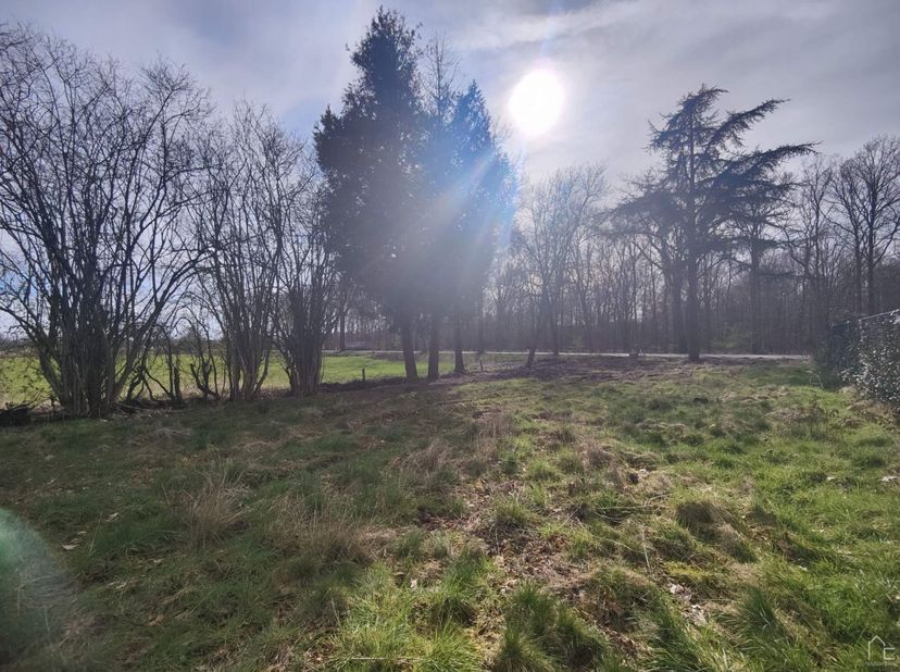 Deze bouwgrond voor open bebouwing is gelegen in een landelijke omgeving. De grond grenst namelijk aan agrarisch gebied waardoor er langs de rechterzi