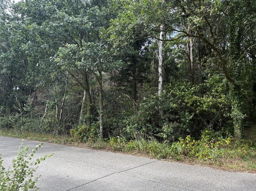 Terrain boisé de 10 304 m²<br />
Situation :<br />
Ce terrain boisé bénéficie d'un emplacement calme, entouré de forêts et de terres agricoles, et se